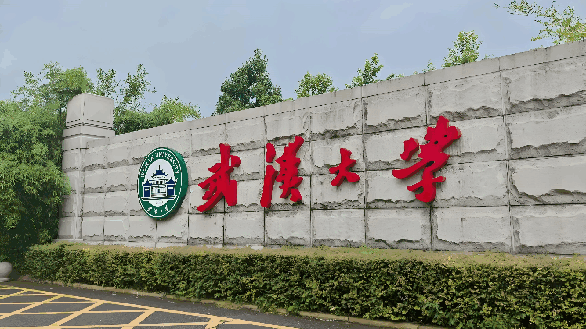 武汉大学 (1) (1).png